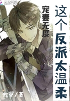 宠妻无度：这个反派太温柔