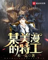 某美漫的特工