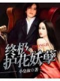 终极护花妖孽