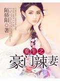 重生之豪门辣妻