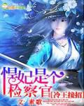 冷王接招，悍妃是个检察官