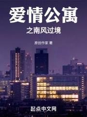 爱情公寓之南风过境