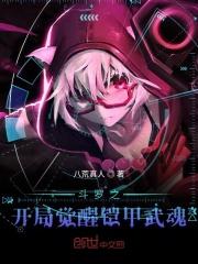 斗罗之开局觉醒铠甲武魂