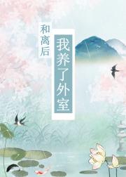 和离后她养了外室