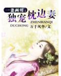 一妻两用——独宠枕边妻