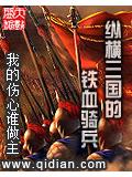 纵横三国的铁血骑兵