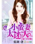 豪门闪婚，小蛮妻太迷人