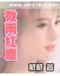 微雨红尘