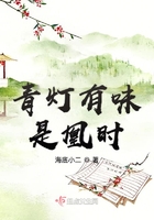 青灯有味是凰时