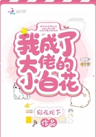 我成了大佬的小白花