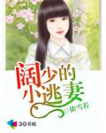 阔少的小逃妻
