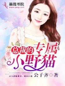 总裁的专属小野猫