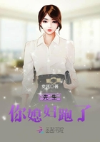 先生，你媳妇跑了