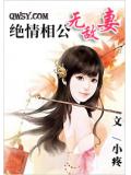 绝情相公无敌妻