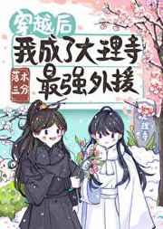 穿越后我成了大理寺最强外援