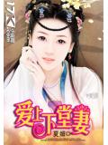 爱上下堂妻