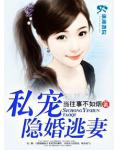 私宠隐婚逃妻
